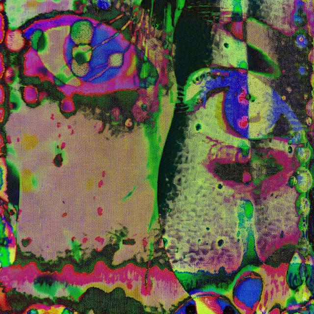 The Owl - Nuage