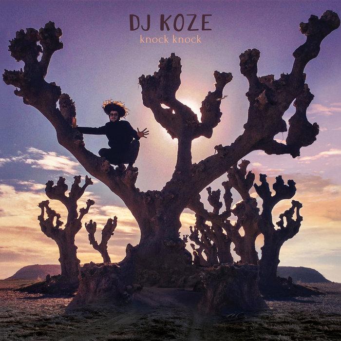 knock knock - (PAMPACD013) - DJ Koze