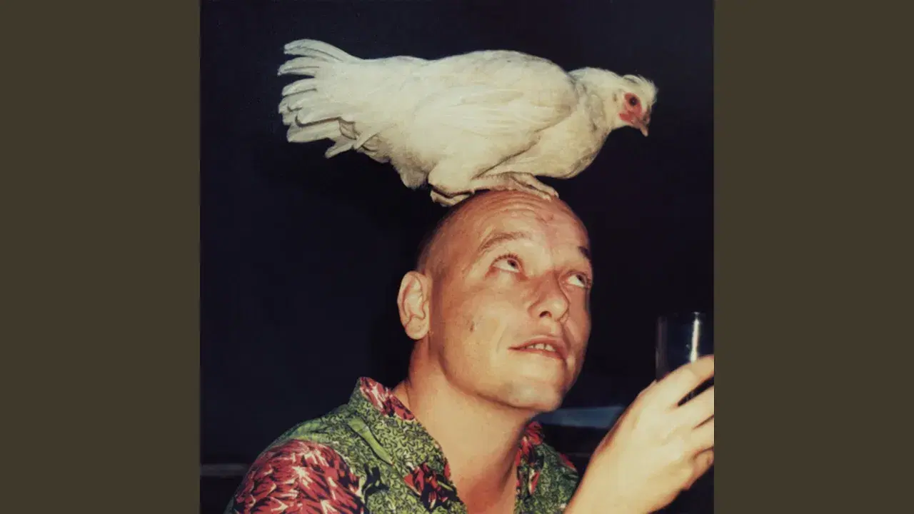 null - Geins't Naït