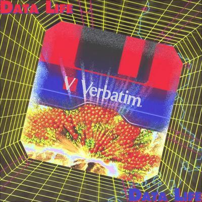 Verbatim - DataLife