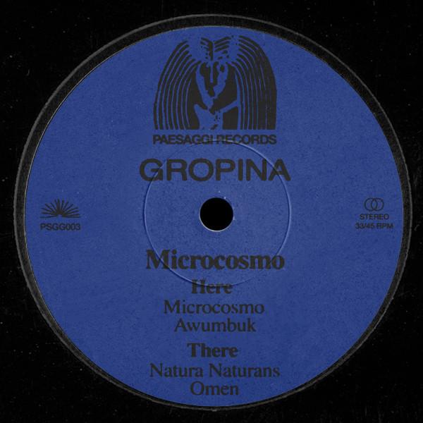 Microcosmo - Gropina