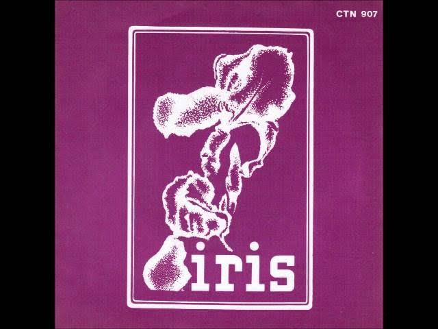 Aux Portes Des Villes 7" - Iris