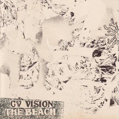 The Beach - CV Vision