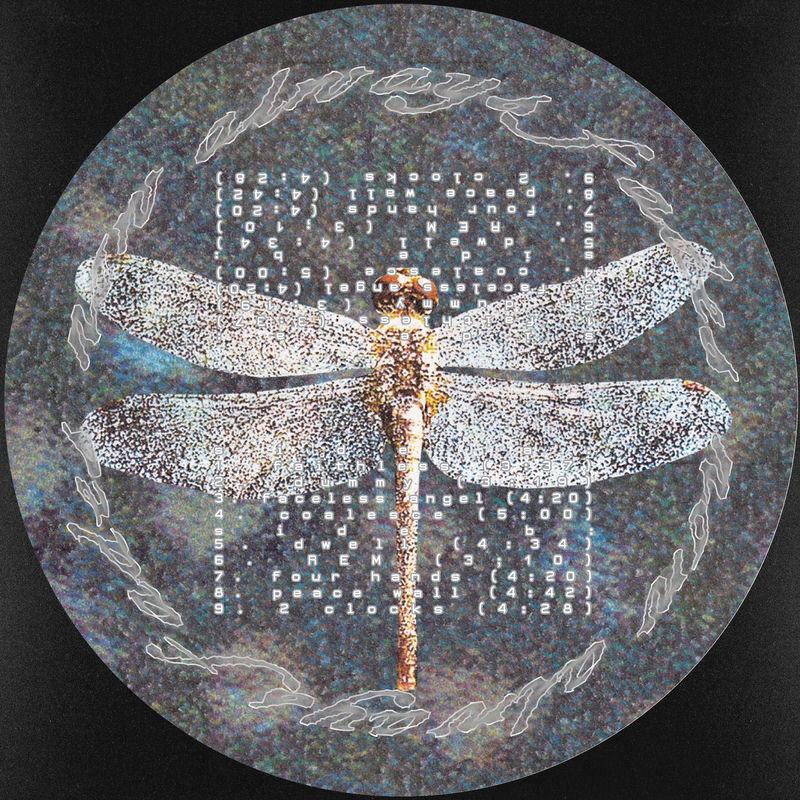 Coalesce - Now Always Fades, Olive Kimoto
