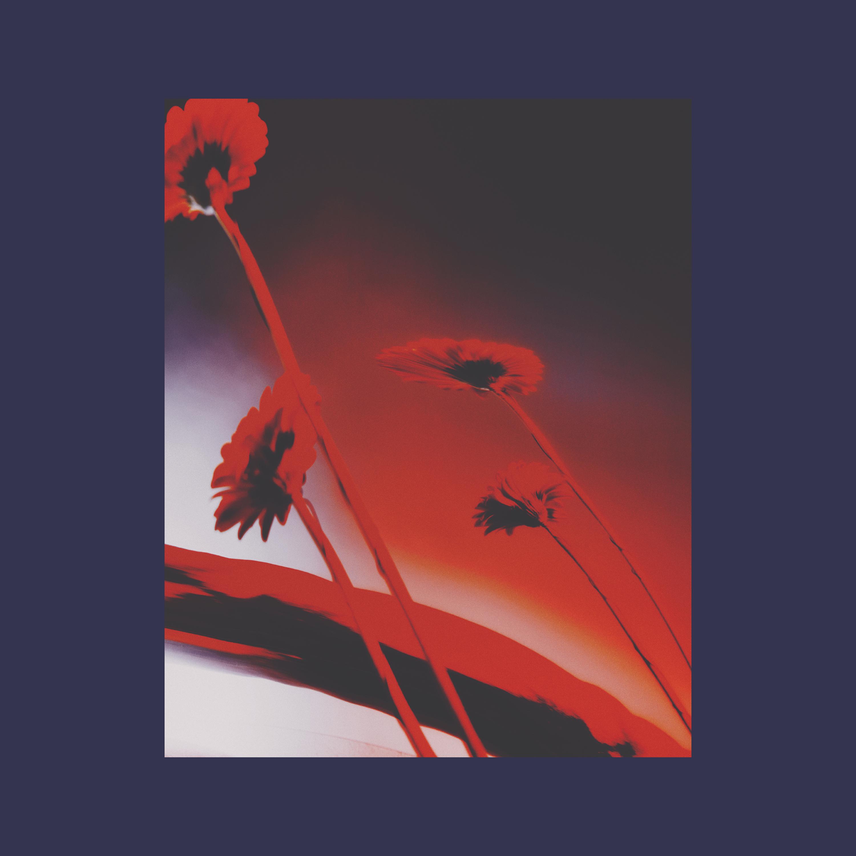 Nothing Ever Was: Compiled by DJ Sundae - Quigley