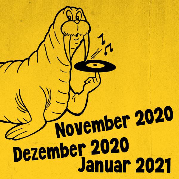 20/11-12-21/01-1 - Panseluta Fieraru