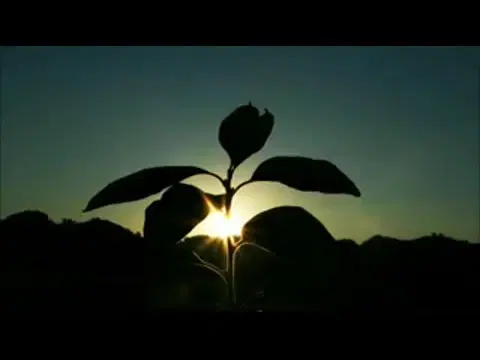 1972 春一番 [Disc 4] - 中川五郎