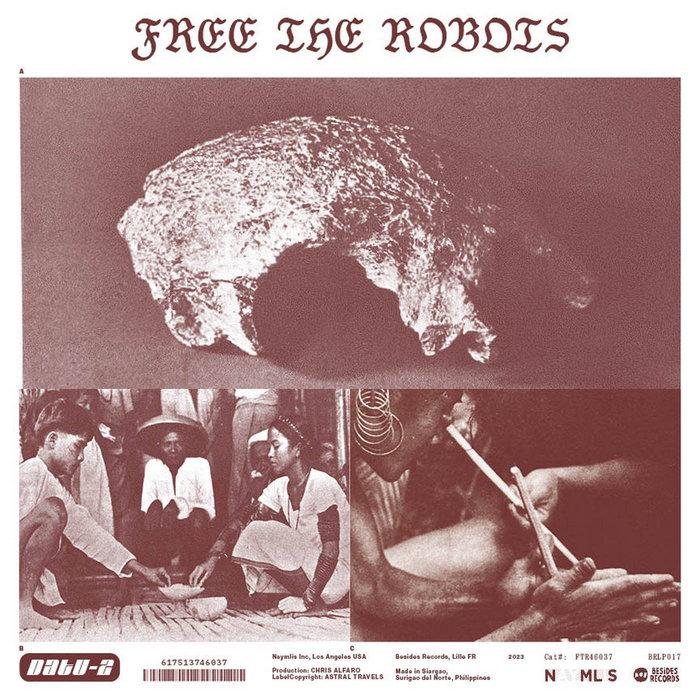 DATU 2 - Free the Robots