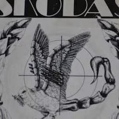 - The Skodas
