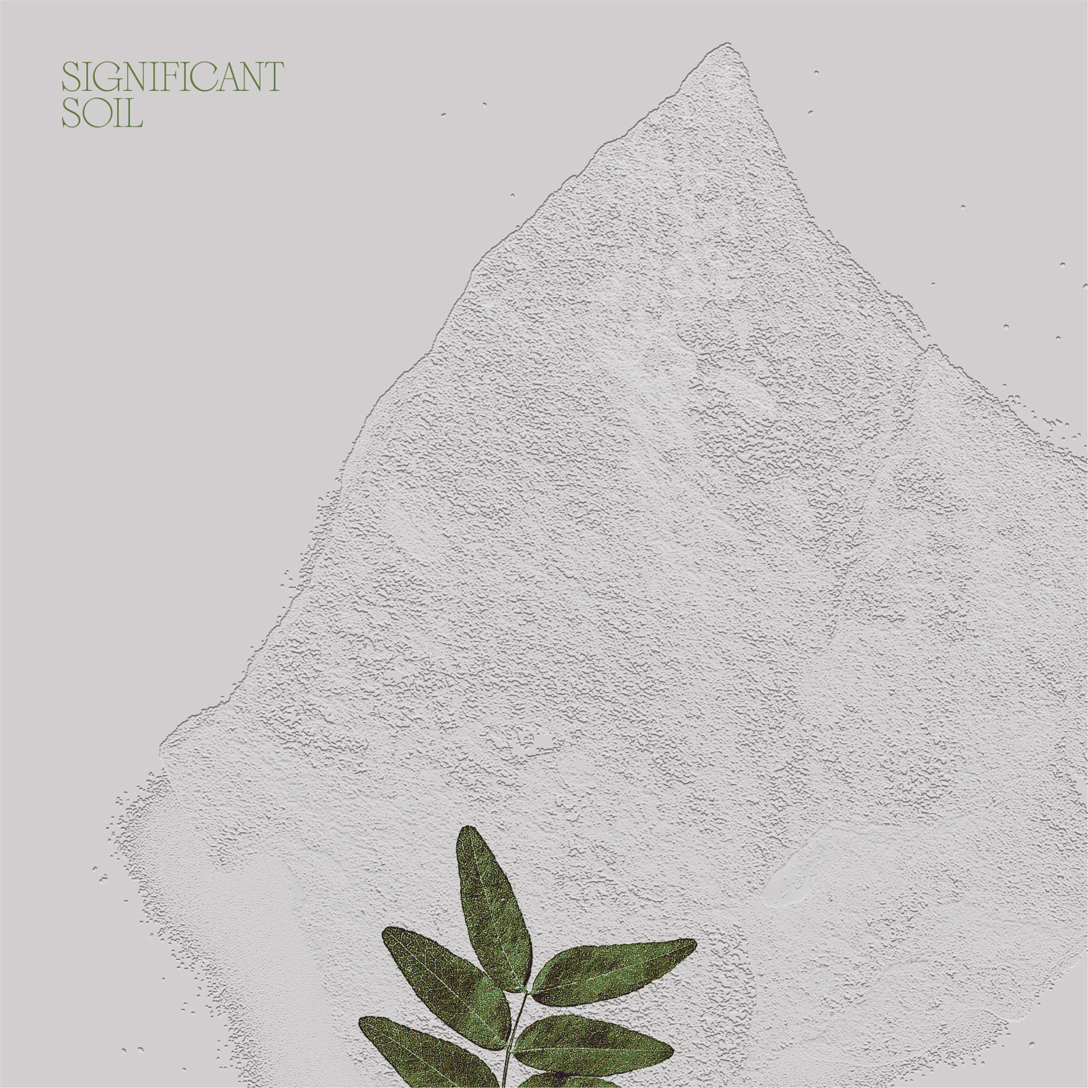 Significant Soil - Mister Water Wet