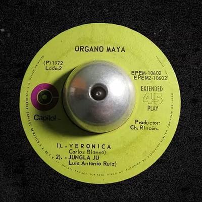 - Organo Maya