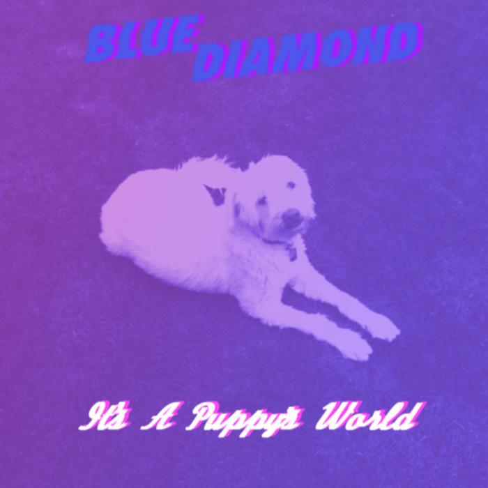 It's A Puppy's World - Blue Diamond