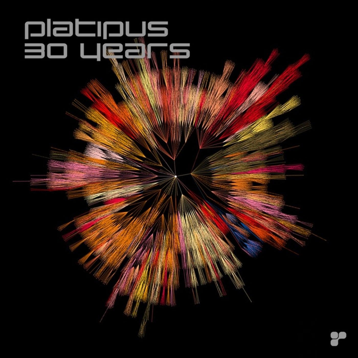 Platipus 30 Years - Union Jack