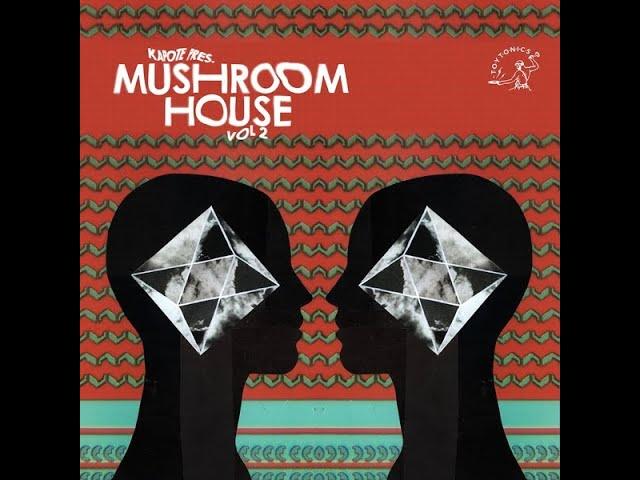 Mushroom House Vol 2 - Kapote