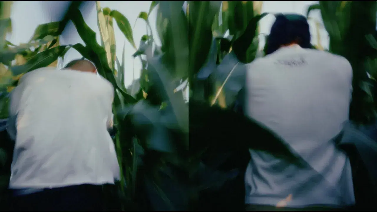  - Wowjean