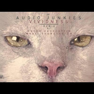 Vividness - Audio Junkies, Haptic