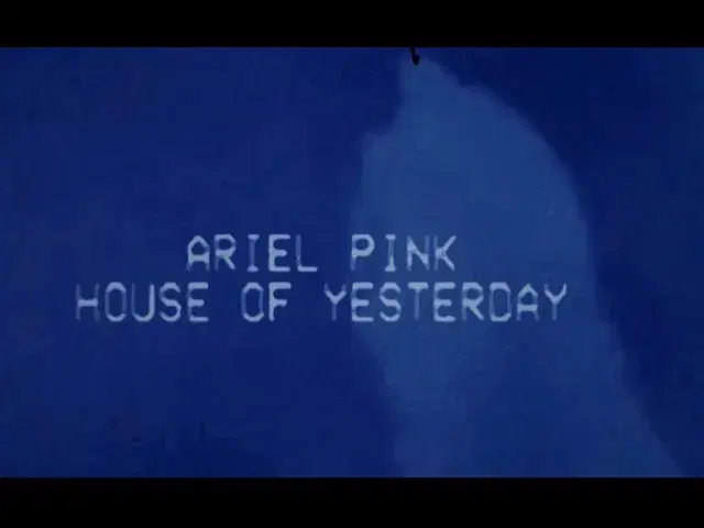  - Ariel Pink