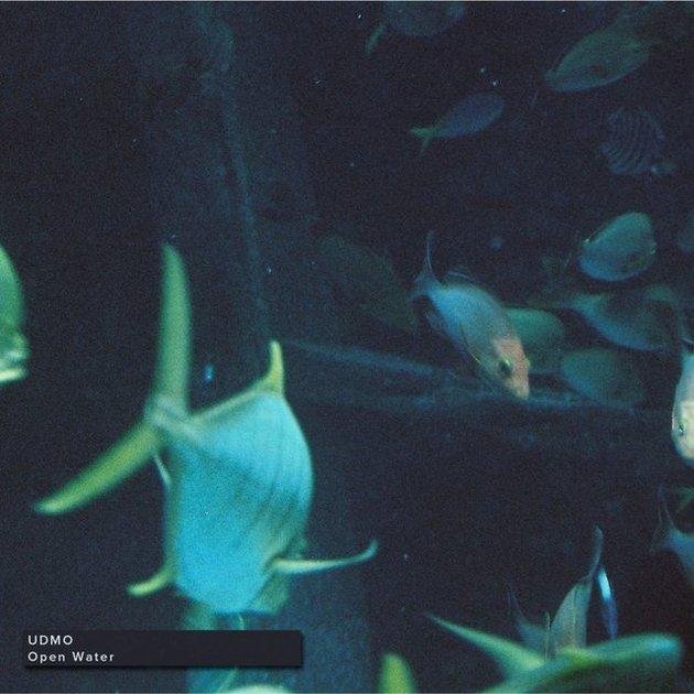 Open Water - Udmo