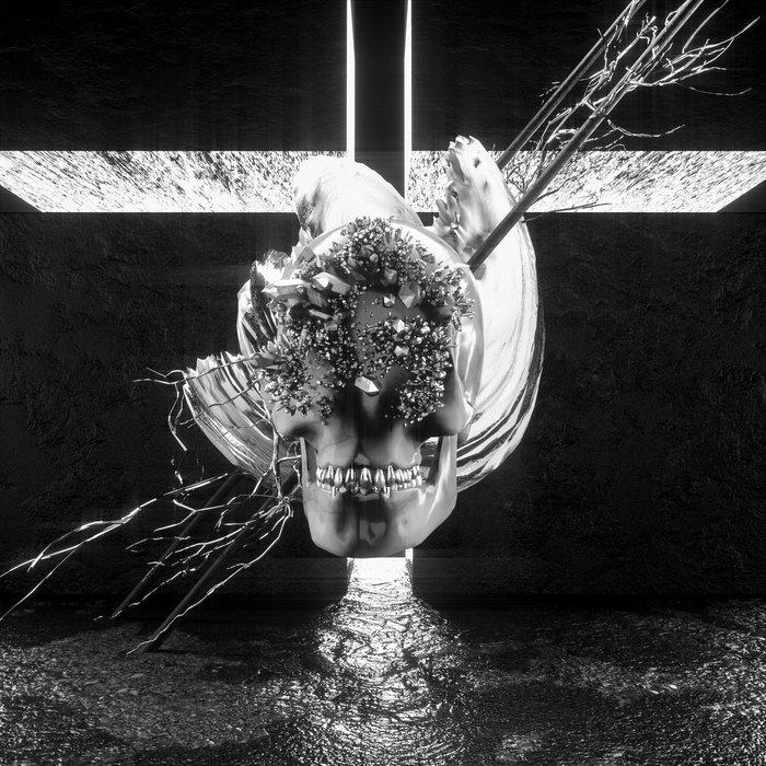 Boundaries - Woolymammoth & Holly