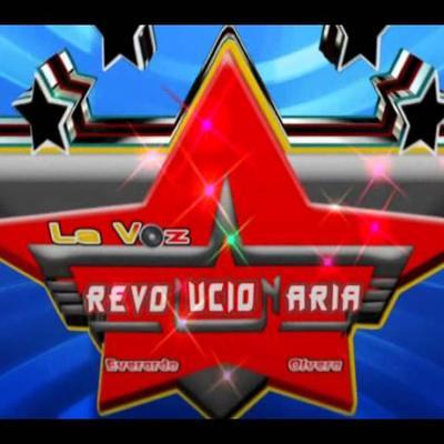 Ecuatorianas Vol.45 - Banda Show 24
