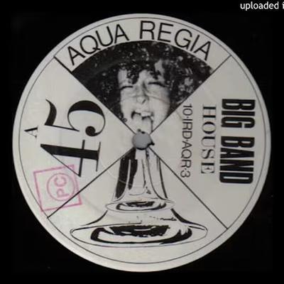  - Aqua Regia 