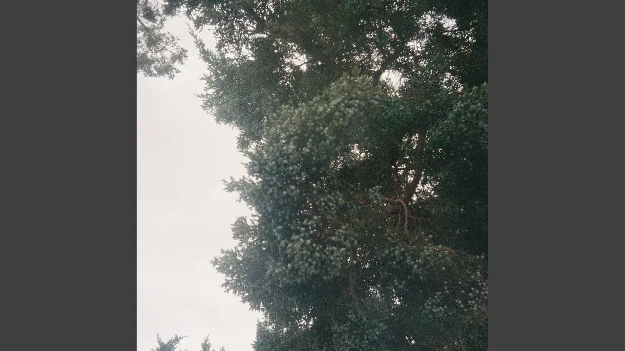 no release - still