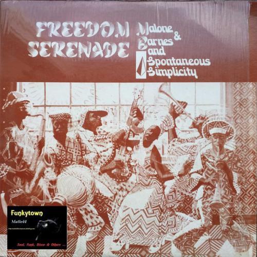 Freedom Serenade - Malone & Barnes and Spontaneous Simplicity