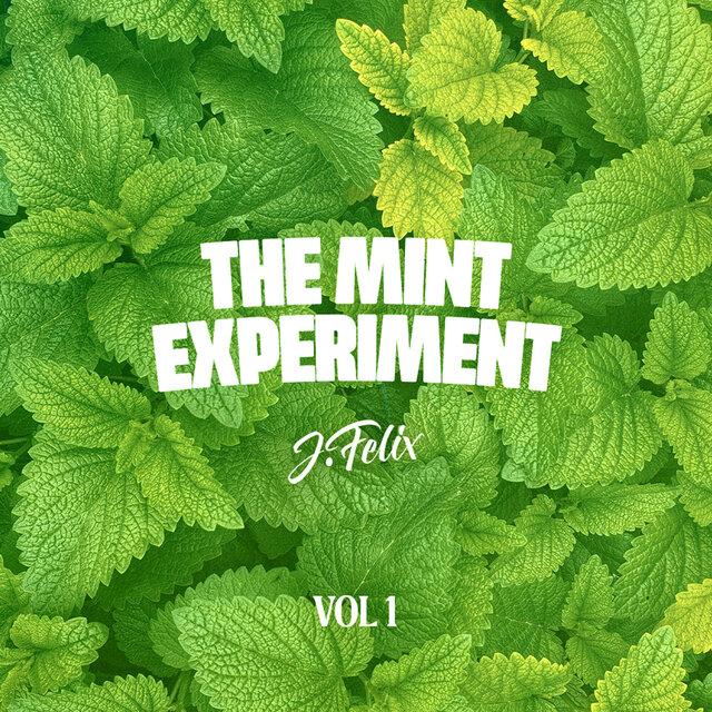 The Mint Experiment Volume 1 - J-Felix