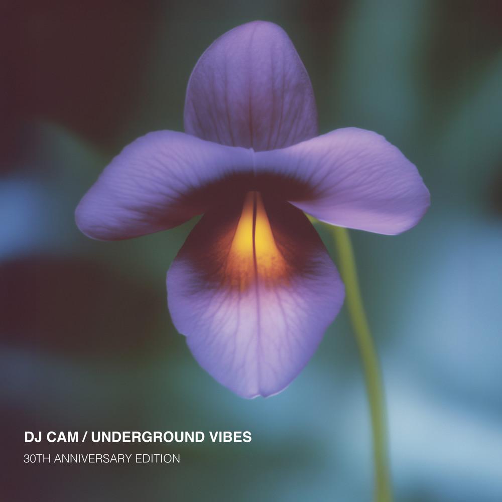 Underground Vibes . The 30Th Anniversary Edition. - DJ CAM & DJ CAM QUARTET