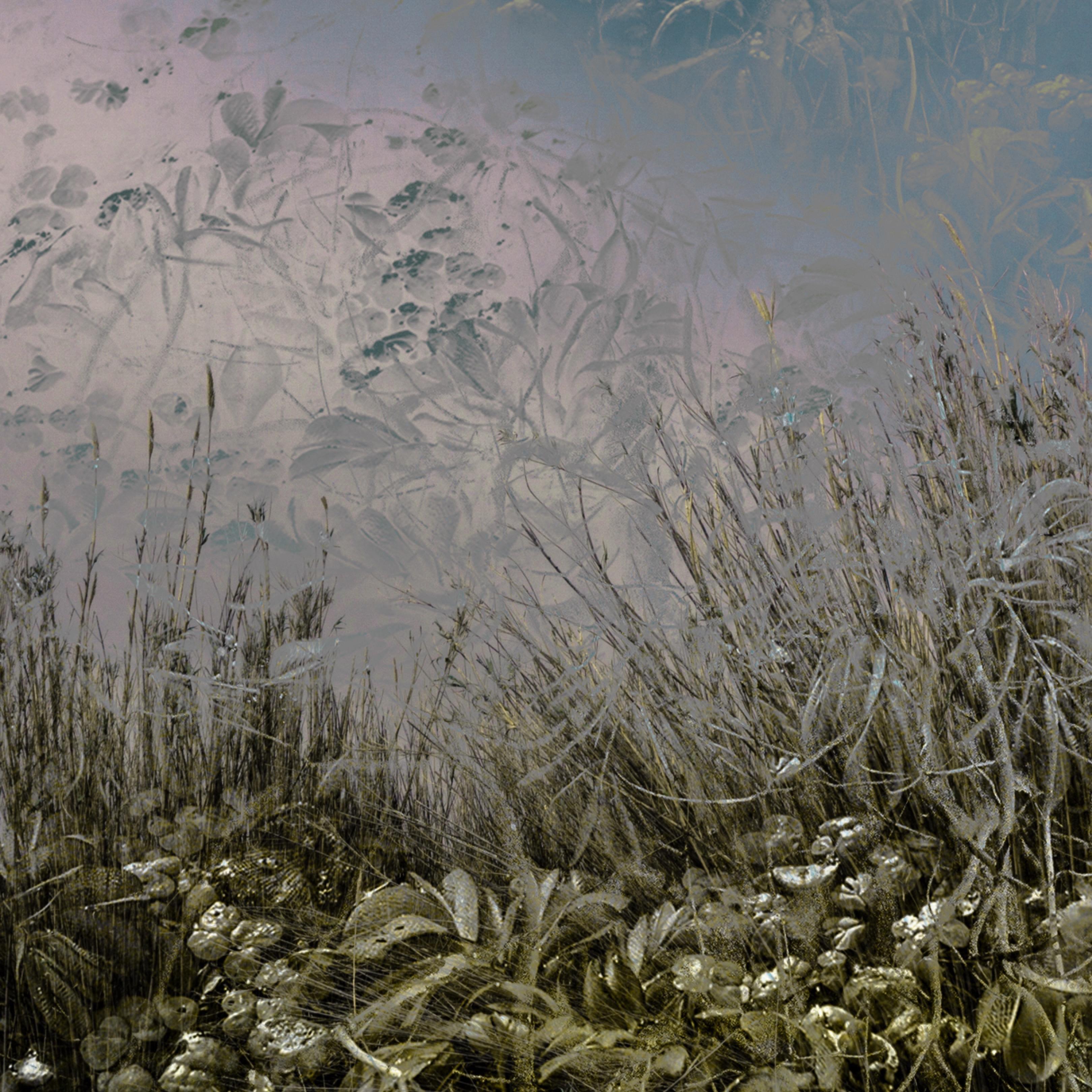 Southern Lands - OdNu, Mi Cosa de Resistance and mRn