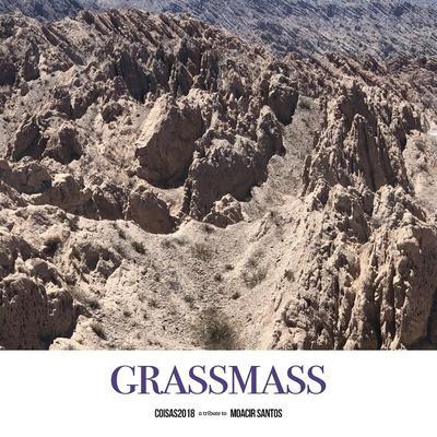 COISAS2018 - grassmass