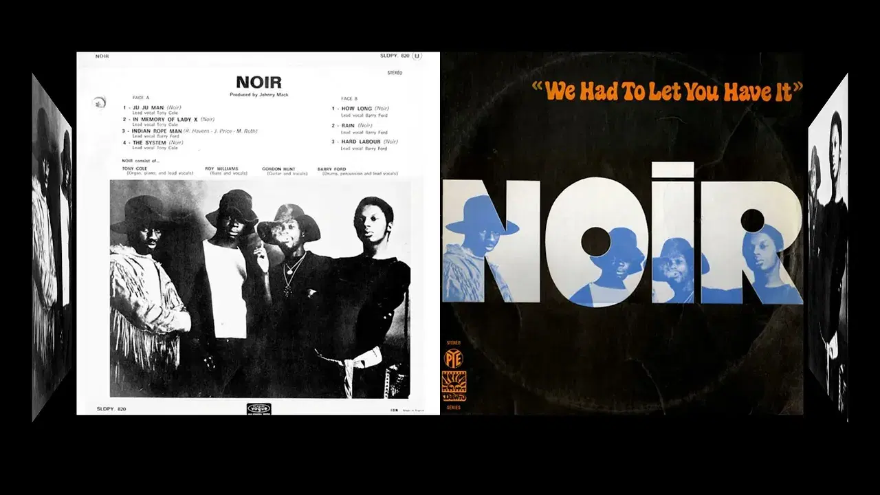We Had To Let You Have It - Noir