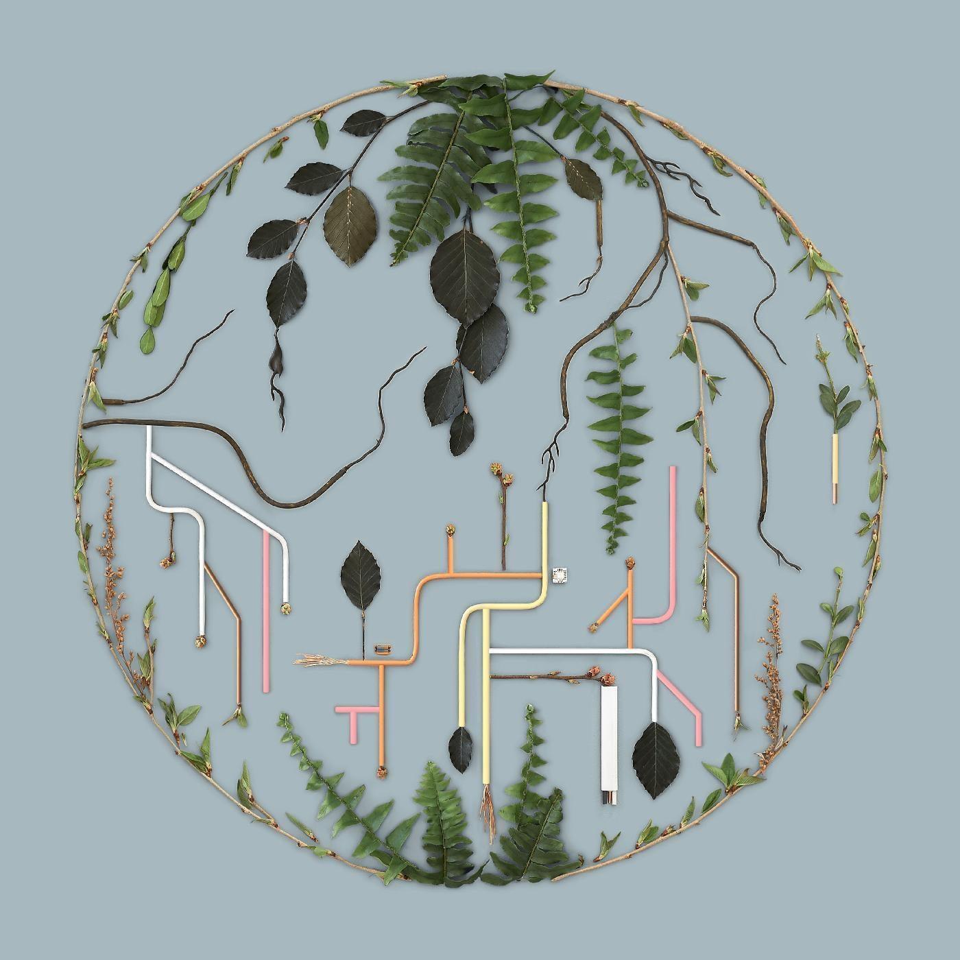 Tributaries Vol. 2 - El Buho, Maarja Nuut, Ruum