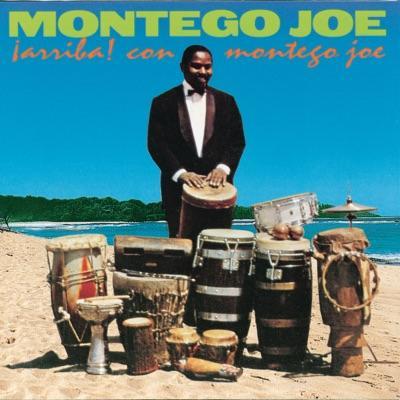  - MONTEGO JOE
