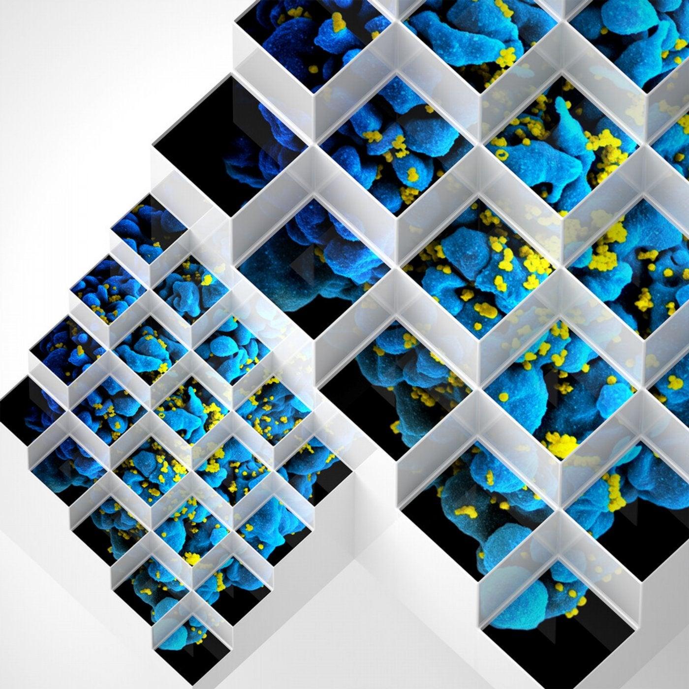 Liquid Geometries in Dub - Bluetech