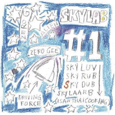 #1 - Skylab