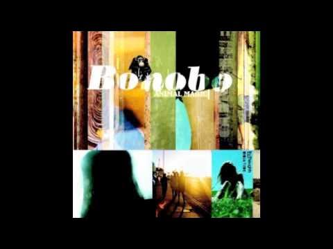 Terrapin - Bonobo