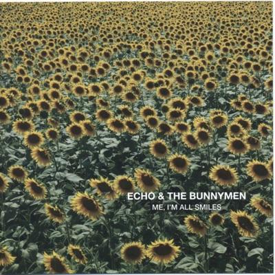 Songs to Learn & Sing - Echo And The Bunnymen