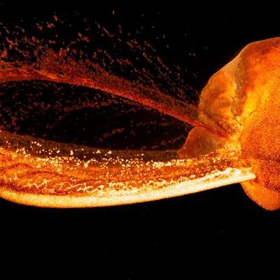  - Plantoid