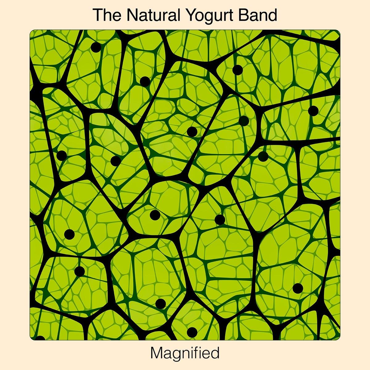 Magnified - The Natural Yogurt Band