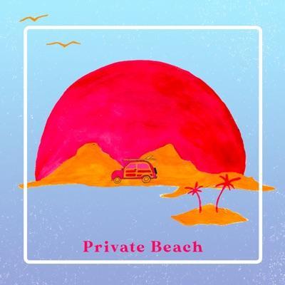 Lost Legends Of Surf Guitar  Vol. 4  Shockwave - Johnny & The Shy Guys