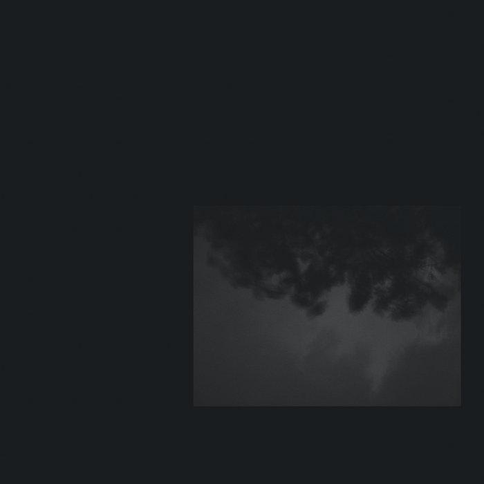 What Wind Whispered To The Trees - Siavash Amini