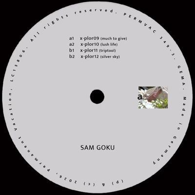 Explorations 03 - Sam Goku