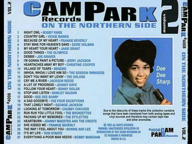 Camp Park Records: On The Northern Side Vol. 2 - The Session Swingers