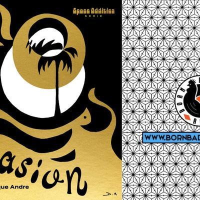 EVASION - DOMINIQUE ANDRE
