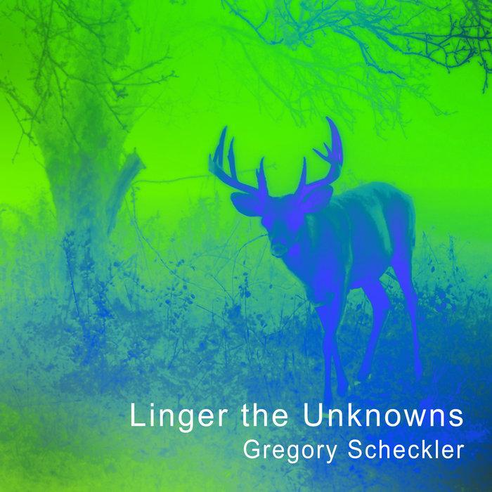Linger the Unknowns - Gregory Scheckler