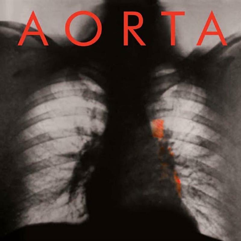  - Aorta