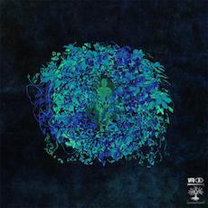 Ubiquity - Brainbeats