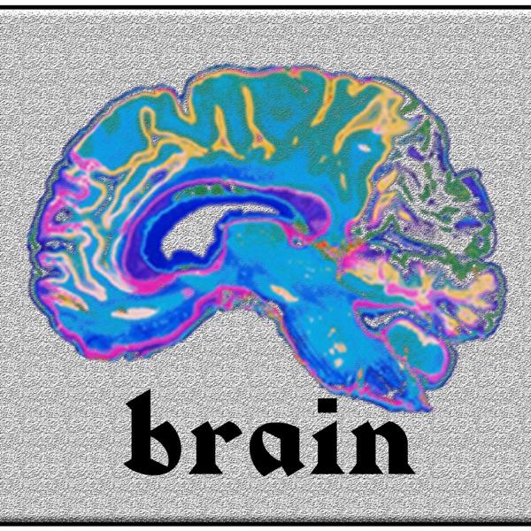 Brain (feat. Lori) - Single - REMI & Sensible J