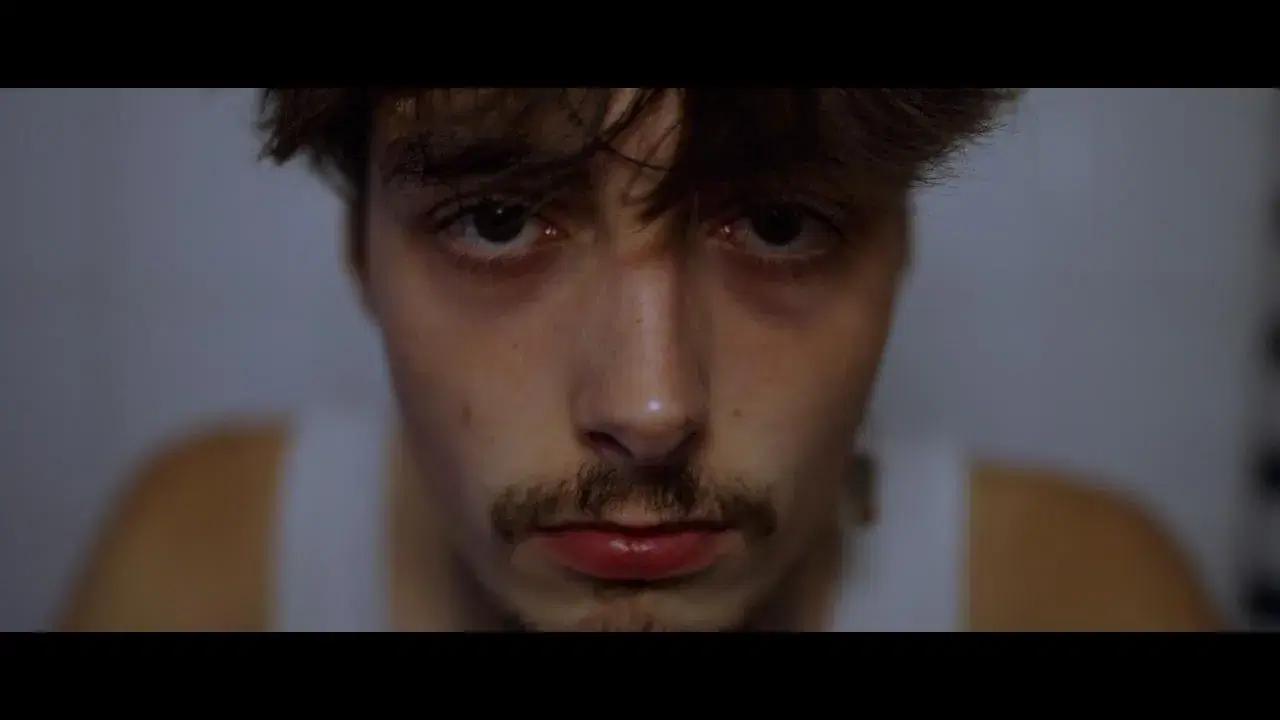 FIEVRE HUMAINE - Zaza Fournier - Clip Officiel - Zaza Fournier